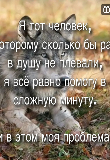 Sergey (@sergey1185933) — my photo № 4