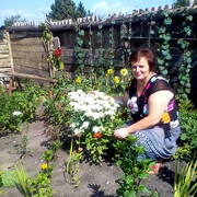 Ирина Журавлева, 58, Новый Оскол