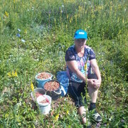 Елена, 60, Бугуруслан