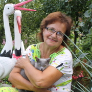 Наталья, 70, Горно-Алтайск