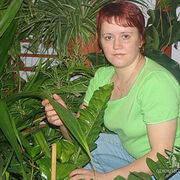 елена, 49, Камешково
