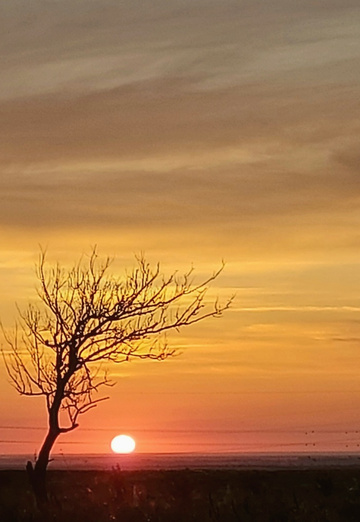 Serge (@serj32081) — my photo № 7