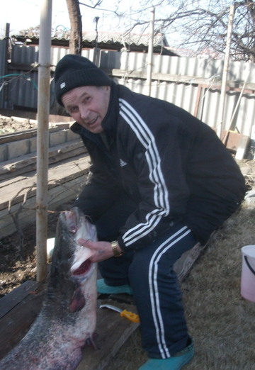 My photo - Gennadiy, 82 from Volgograd (@gennadiy8986)