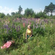 Галина, 65, Снежинск