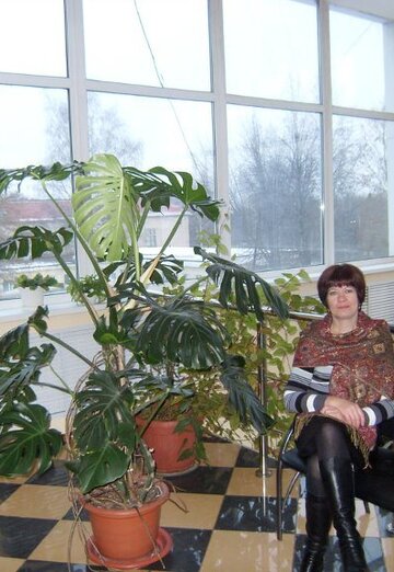 Моя фотография - Елена, 61 из Иваново (@elena241717)