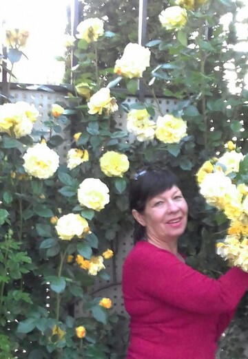 Моя фотография - Людмила, 65 из Краснодар (@ludmila63018)