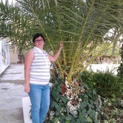 Светлана, 49, Малоярославец