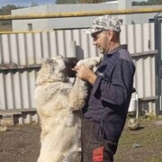 Виталик, 43, Белгород