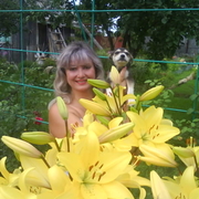 Скорпион, 62, Карабаново