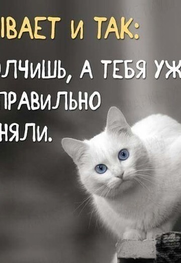 Anatoliy (@anatoliy44248) — my photo № 15