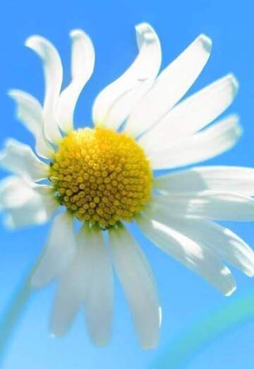 lionlale (@lionlale) — my photo № 3