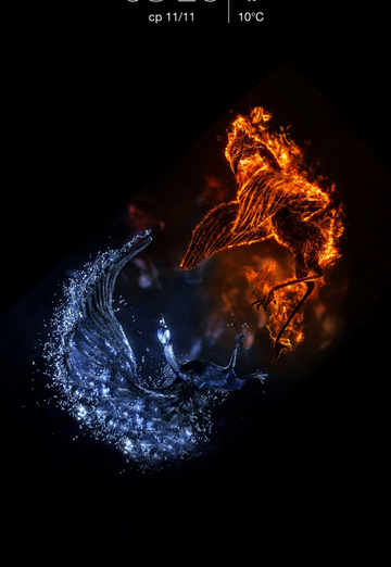 vova (@id199131) — my photo № 6