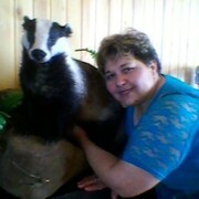 Елена, 61, Крестцы