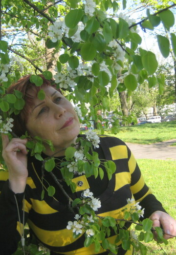 Моя фотография - Светлана, 64 из Шумилино (@svetlana62664)