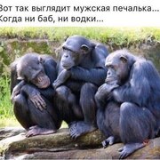 Вадим (@vadim29770) — моя фотография № 3