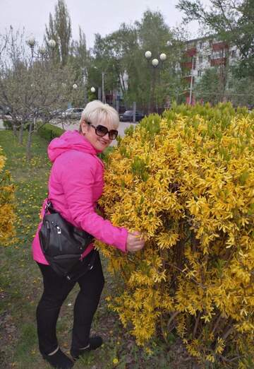 My photo - Galina, 54 from Gubkin (@olga296245)