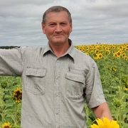 Ришат, 43, Нижнекамск