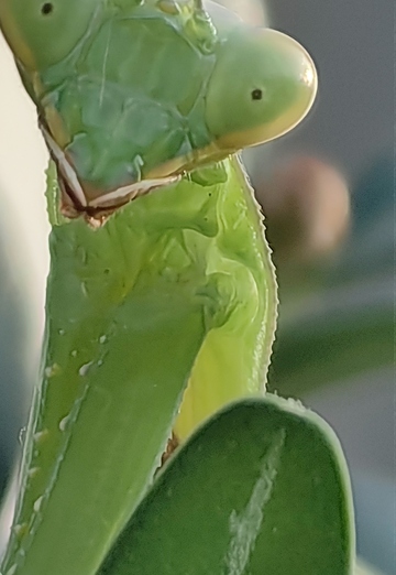 Stas (@1096812) — my photo № 5