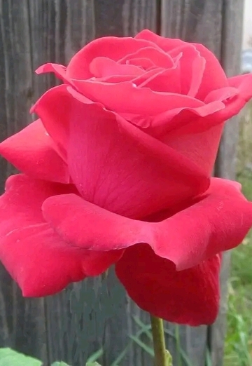 Andrei (@roman173552) — my photo № 7