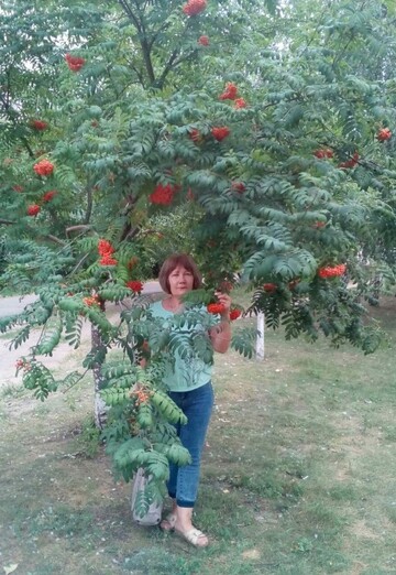 Моя фотография - Людмила, 66 из Старый Оскол (@ludmila96486)