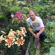 роман, 47, Дубна