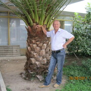 николай, 66, Гурьевск