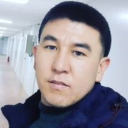 Наука, 31, Свободный