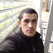 Алишер, 31, Юрьев-Польский