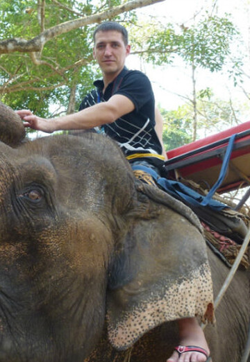 Вадим (@vadim38754) — моя фотография № 27