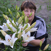 елена, 57, Чернянка
