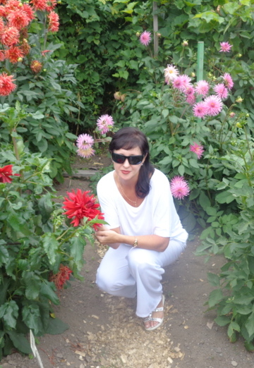 Моя фотография - Ольга, 52 из Комсомольск-на-Амуре (@olga132585)