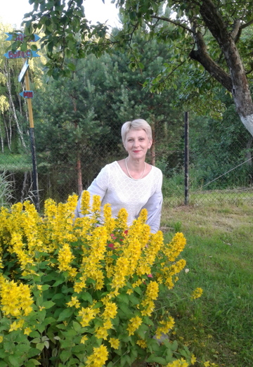 My photo - Elena, 60 from Yaroslavl (@elena360336)