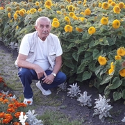 Александр, 65, Новокузнецк