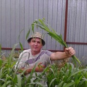 АНДРЕЙ, 50, Красногвардейское (Ставрополь.)