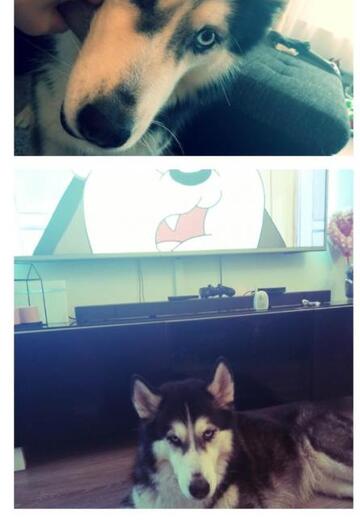 Nikolai (@nikolai534) — my photo № 10