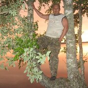 Александр ~losiara~, 49, Коряжма