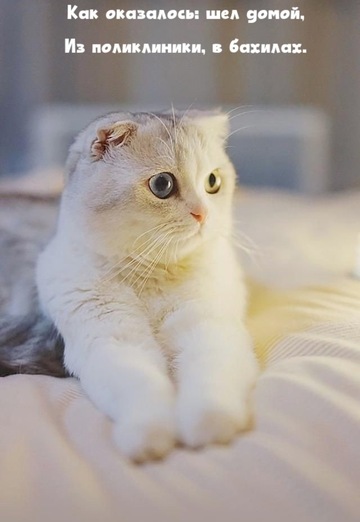 Sergey (@sergey344895) — my photo № 5