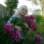 Елена, 56, Александров