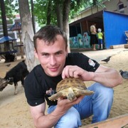 Дмитрий, 37, Краснозаводск