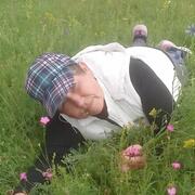роза, 78, Ульяновск