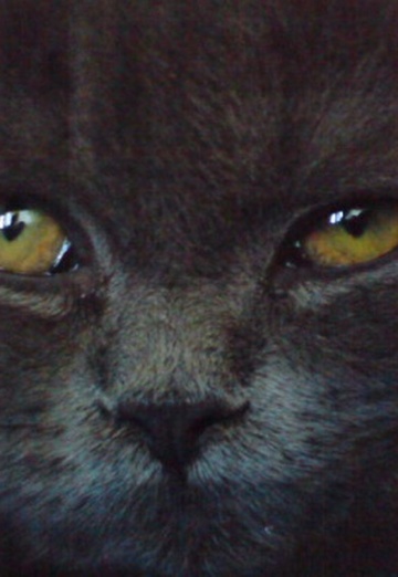 vitalik (@v1736) — my photo № 21