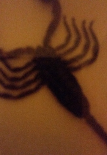 Black scorpion (@iza368) — minha foto № 2