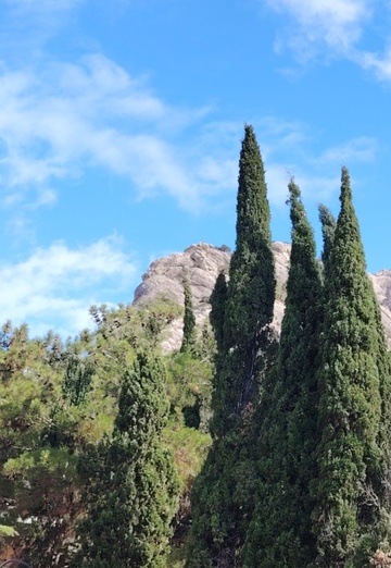 🍃🌺Nataliya 💖🦊 (@nataliya43937) — my photo № 15