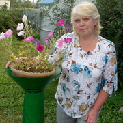 Людмила, 72, Шербакуль